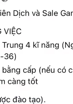 Giải cứu nạn nhân bị lừa việc nhẹ lương cao tại Campuchia.