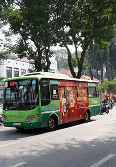 TP Hồ Chí Minh đề xuất mở thêm nhiều tuyến xe bus