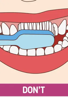8 mẹo chăm sóc răng miệng đơn giản mà hiệu quả đến bất ngờ