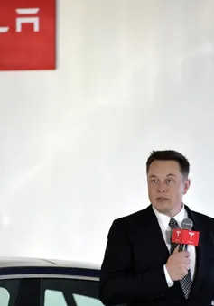 Elon Musk đóng cửa một văn phòng Tesla, sa thải 200 nhân sự