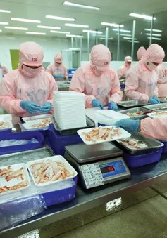 RCEP tạo ra nhiều cơ hội mới