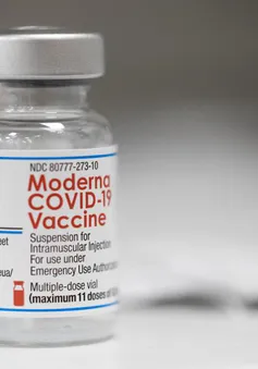 Australia phê duyệt tiêm vaccine của Moderna cho trẻ dưới 5 tuổi