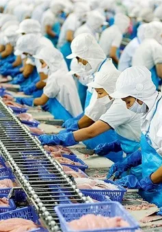 Thiếu nguyên liệu chế biến thủy sản