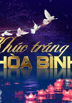 TRỰC TIẾP cầu truyền hình đặc biệt "Khúc tráng ca hòa bình" (20h, VTV1)