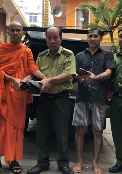 TP Hồ Chí Minh: Tiếp nhận cứu hộ 40 cá thể rùa phóng sinh từ các nhà chùa