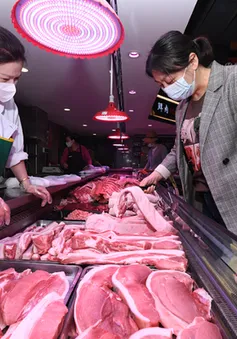 Trung Quốc nỗ lực kiềm chế đà tăng giá thịt lợn