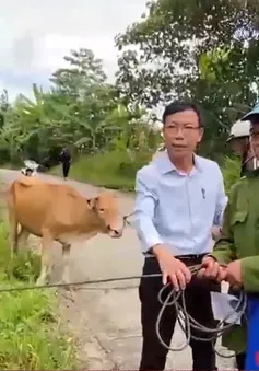Trao sinh kế cho đồng bào nghèo vùng cao sau thiên tai, dịch bệnh