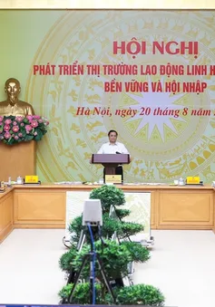 Thủ tướng Chính phủ: 9 nhóm giải pháp lớn để phát triển thị trường lao động đúng hướng, linh hoạt, hiện đại, hiệu quả, bền vững, hội nhập