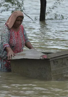 Pakistan kêu gọi cộng đồng quốc tế hỗ trợ các nạn nhân lũ lụt