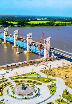 Mực nước vùng đầu nguồn Đồng bằng sông Cửu Long ít biến động