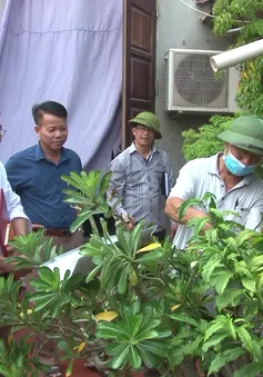 Hà Nội: Tập trung dập dịch sốt xuất huyết tại huyện Phú Xuyên