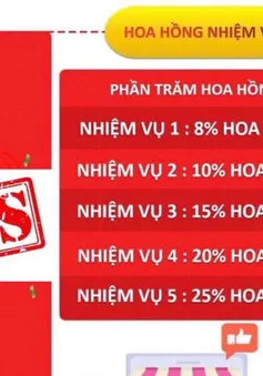 Một phụ nữ bị lừa 300 triệu đồng khi làm cộng tác viên thanh toán đơn hàng