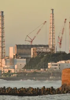 Thành phố Fukushima dỡ bỏ lệnh sơ tán sau 11 năm kể từ thảm họa hạt nhân