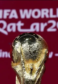 Có nên mua bản quyền World Cup 2022 bằng mọi giá?!