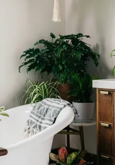 Thiết kế phòng tắm theo phong cách Bohemian mới lạ, độc đáo