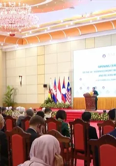 Khai mạc Hội nghị Bộ trưởng Kinh tế các nước ASEAN