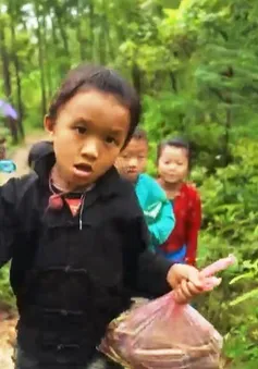 Nghẹn lòng với những bữa ăn 'góp' của học trò vùng cao