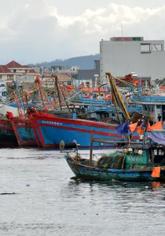 Ứng phó siêu bão Noru: Đã liên lạc được 35 tàu cá của Đà Nẵng