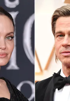 Angelina Jolie tố Brad Pitt là "chủ mưu" kiểm soát tài sản, đòi bồi thường 250 triệu USD