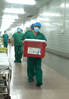 Cô gái 25 tuổi hiến tạng cứu sống 6 người