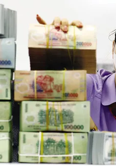 Lãi suất liên ngân hàng lập đỉnh 10 năm