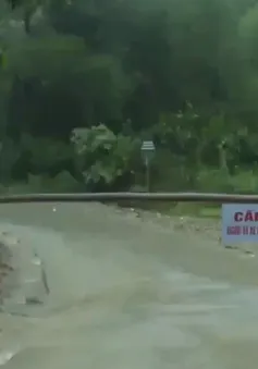 Thiệt hại do mưa lớn tại Thanh Hóa