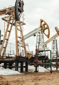 Nga tìm cách ngăn đà giảm của giá dầu