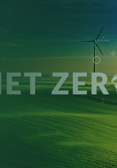 "Tạp chí Kinh tế đặc biệt: Net Zero" - Điểm nhấn Mùng 2 Tết trên VTV1