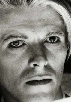 David Bowie - người tiên phong trong việc kiếm tiền từ các danh mục âm nhạc
