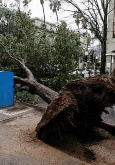 Bão nghiêm trọng càn quét California với mưa to, gió lớn gây lũ lụt