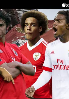 Benfica tiếp tục thu lãi từ thị trường chuyển nhượng