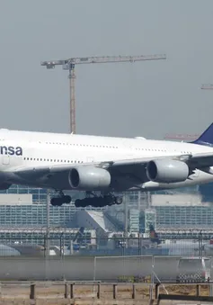 Lufthansa gặp sự cố hệ thống thông tin, hàng loạt chuyến bay bị hủy