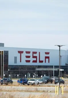 Tesla sa thải 4% nhân viên ở New York trước chiến dịch công đoàn