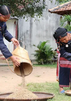 Hơn 11.000 tỷ đồng phát triển Tây Nguyên