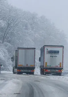 Bão tuyết gây gián đoạn giao thông và mất điện tại Czech và Slovakia