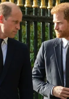 Hoàng tử William "cần thời gian để bình tĩnh" sau khi hồi ký của Hoàng tử Harry được xuất bản