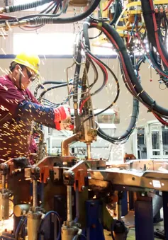 Hơn 50 doanh nghiệp Mỹ sắp đến Việt Nam tìm cơ hội đầu tư