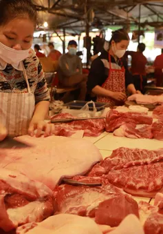 Giá thịt lợn hơi xuống dưới 50.000 đồng/kg
