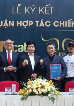 Hợp tác chiến lược cùng Cocky Buffalo, nhiều giải đấu Quyền anh và Võ thuật tổng hợp đỉnh cao trên VTVcab