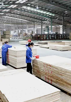 Ngành gỗ đẩy mạnh xúc tiến thương mại hỗ trợ xuất khẩu