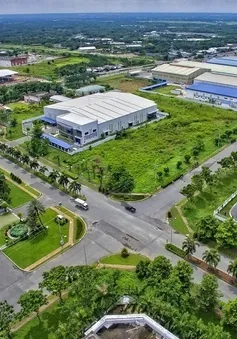 Giảm 30% tiền thuê đất thúc đẩy sản xuất, kinh doanh