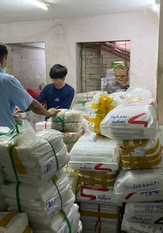TP Hồ Chí Minh: Buộc tiêu hủy gần 1,2 tấn túi nilon không rõ nguồn gốc