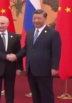 Chủ tịch Trung Quốc Tập Cận Bình hội đàm với Tổng thống Nga