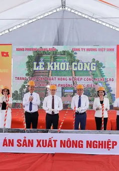 Quận Long Biên: Ứng dụng công nghệ cao, sản xuất rau củ quả an toàn