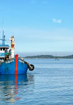 Cảnh sát biển bắt giữ tàu chở 80.000 lít dầu không rõ nguồn gốc