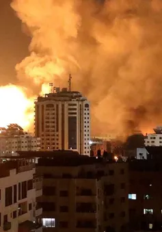 Nỗ lực ngoại giao nhằm thúc đẩy đàm phán ngừng bắn tại Dải Gaza