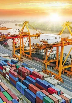 VinaCapital: Dự báo năm 2024, GDP Việt Nam phục hồi ở mức 6,5%