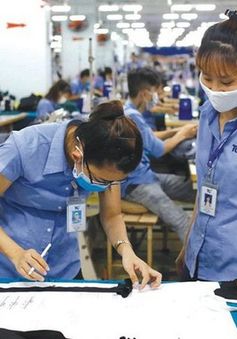 TP Hồ Chí Minh: Gần 77% người tìm việc làm có trình độ trên đại học