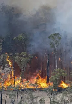 Cháy rừng lan rộng ở Đông Nam Australia giữa đợt nắng nóng mùa xuân