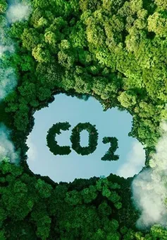 Đẩy nhanh phát triển thị trường carbon, ngăn GDP bị “thổi bay” hàng tỷ USD